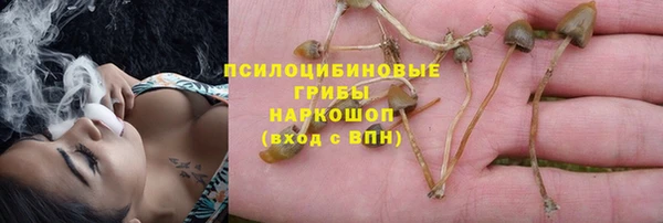 кокс Алексин