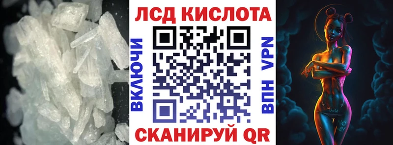 дарнет шоп  Павловская  Лсд 25 экстази ecstasy 