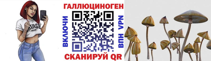 мега как войти Павловская Галлюциногенные грибы прущие грибы
