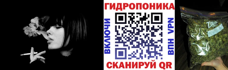 Бошки Шишки сатива Павловская